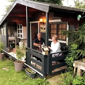 Unique Tiny House Near 3 Peaks - The Zedshed Apartment